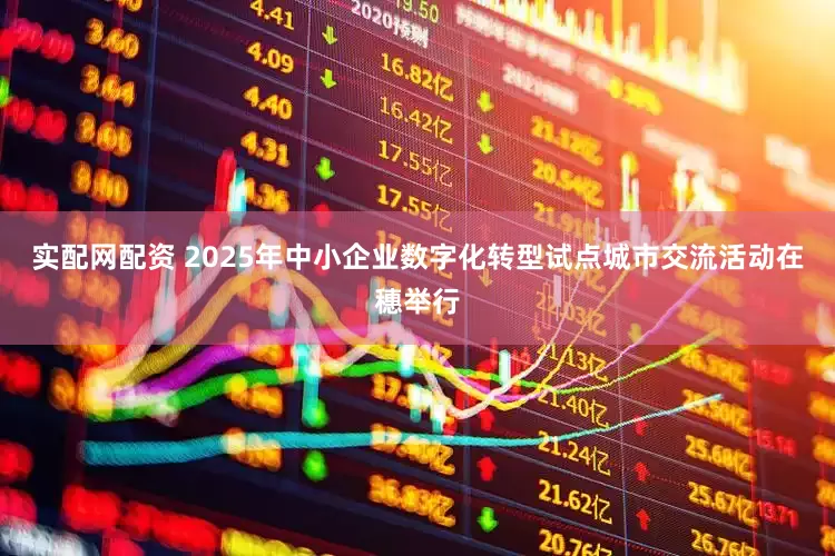 实配网配资 2025年中小企业数字化转型试点城市交流活动在穗举行